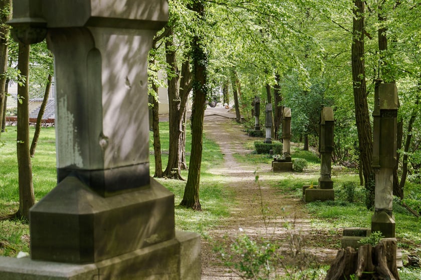 Święte Wzgórze na wrocławskich Osobowicach