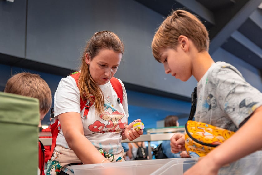 klockoMANIA na Tarczyński Arenie