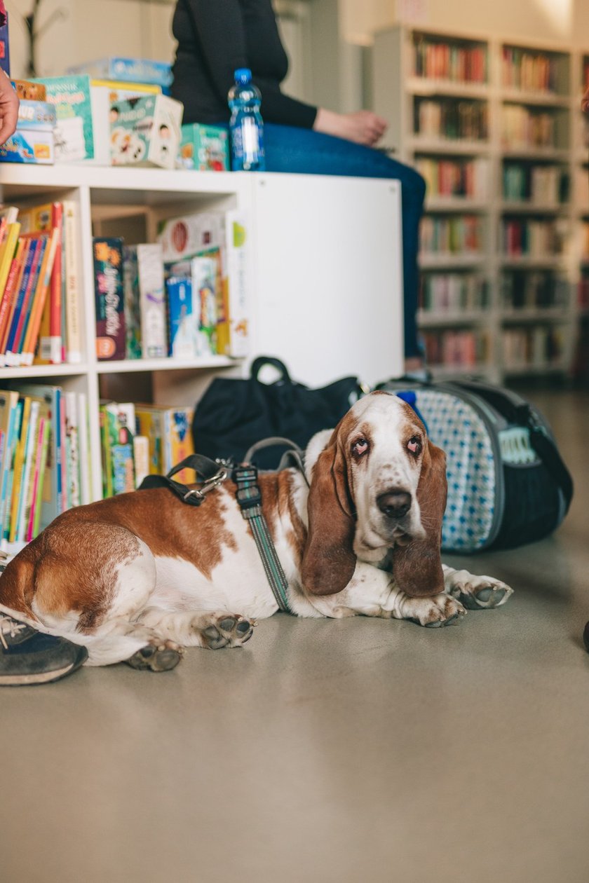 XII edycja Festiwalu Podr&oacute;żniczego R&oacute;wnoleżnik Zero