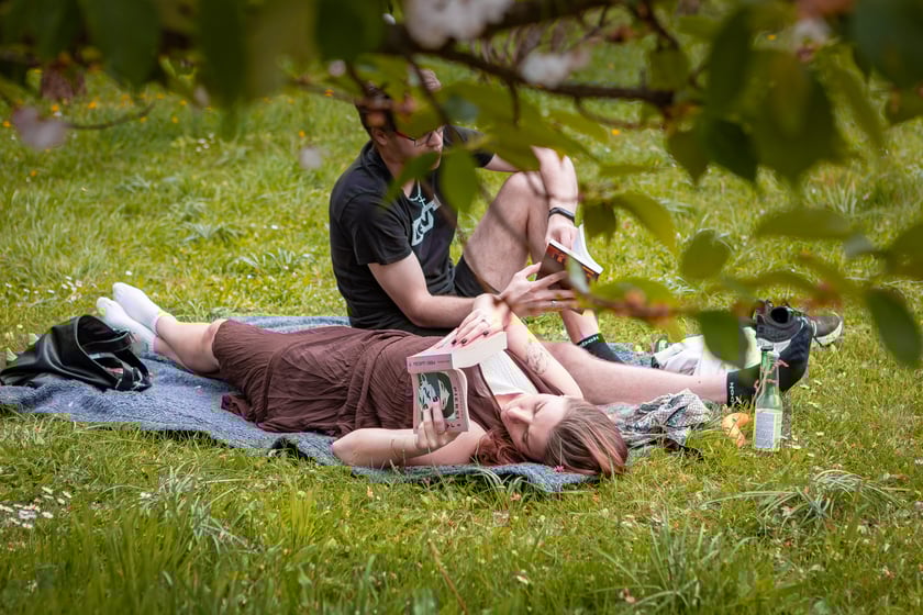 Piknik Kultury Japońskiej w parku Szczytnickim 14 kwietnia