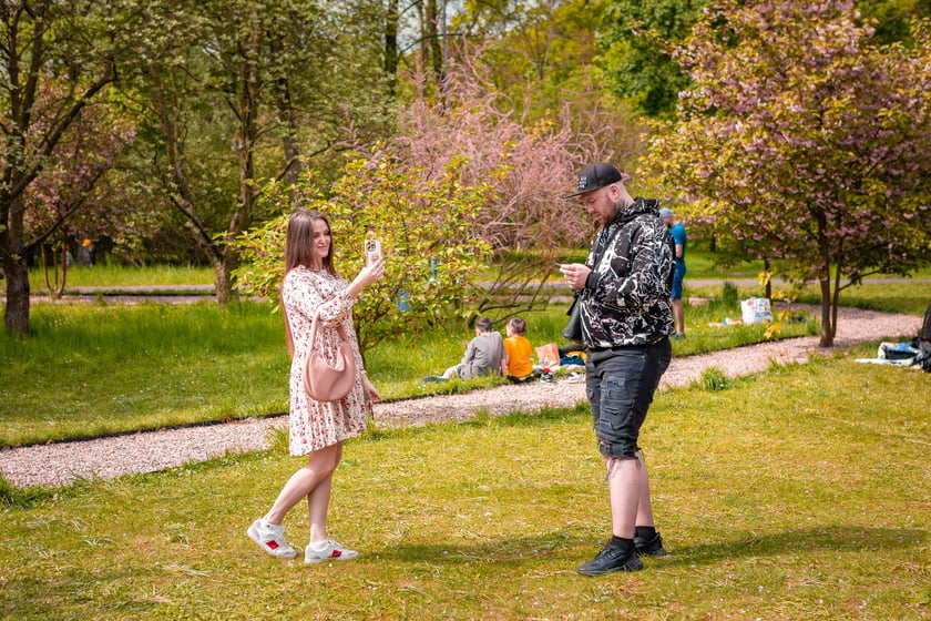 Piknik Kultury Japońskiej w parku Szczytnickim 14 kwietnia