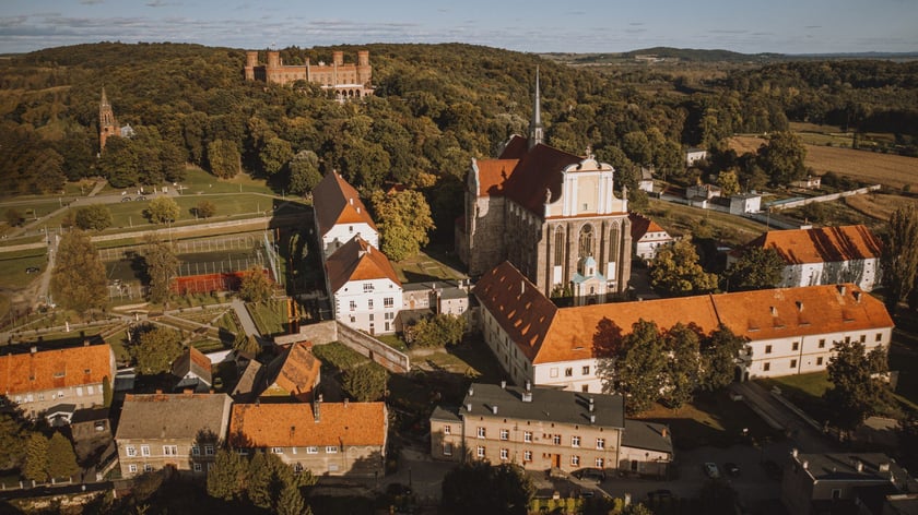 Widok na założenie klasztorne i pałac