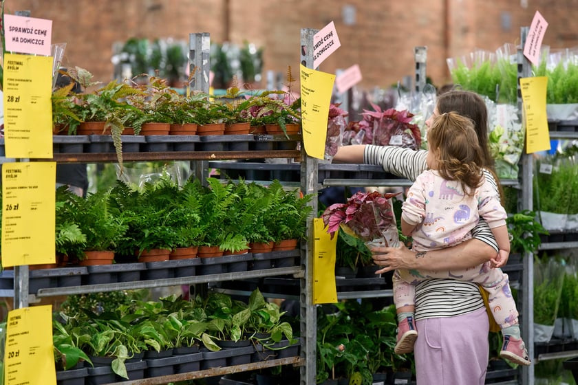Festiwal Roślin w Czasoprzestrzeni