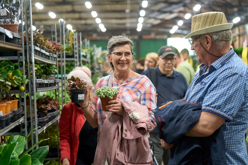 Festiwal Roślin w Czasoprzestrzeni