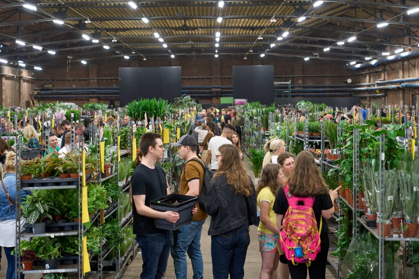 Festiwal Roślin w Czasoprzestrzeni