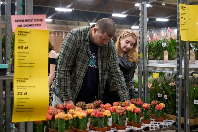 Festiwal Roślin w Czasoprzestrzeni