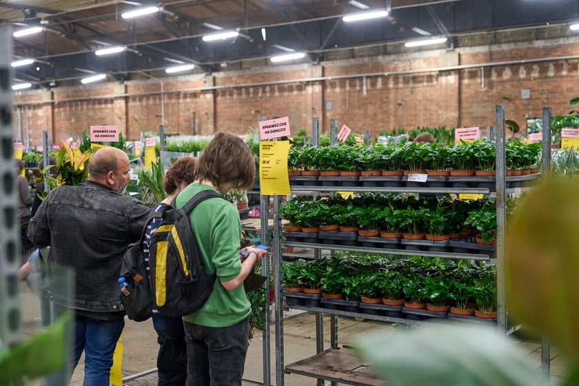 Festiwal Roślin w Czasoprzestrzeni