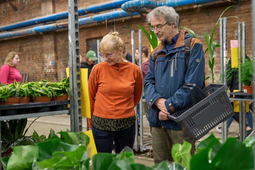Festiwal Roślin w Czasoprzestrzeni