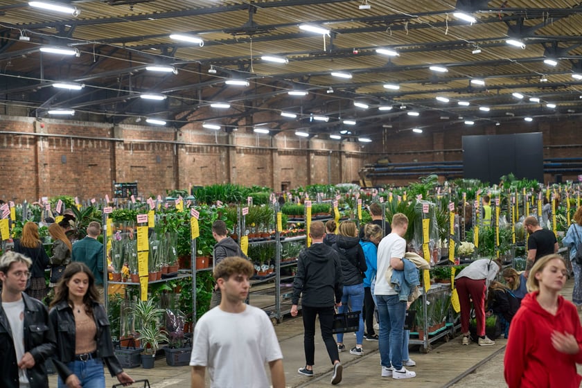 Festiwal Roślin w Czasoprzestrzeni