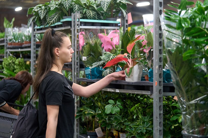 Festiwal Roślin w Czasoprzestrzeni