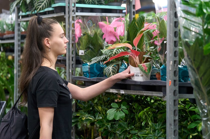 Festiwal Roślin w Czasoprzestrzeni