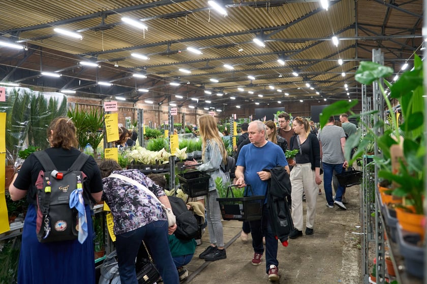 Festiwal Roślin w Czasoprzestrzeni