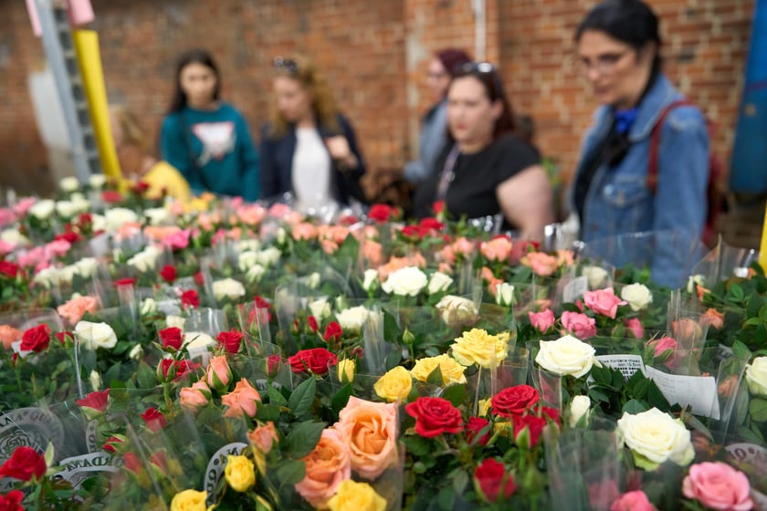Festiwal Roślin w Czasoprzestrzeni