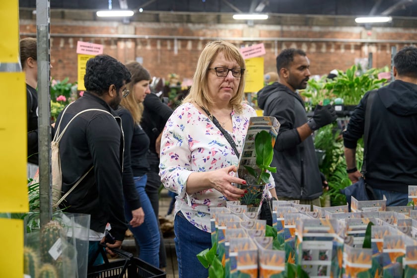 Festiwal Roślin w Czasoprzestrzeni