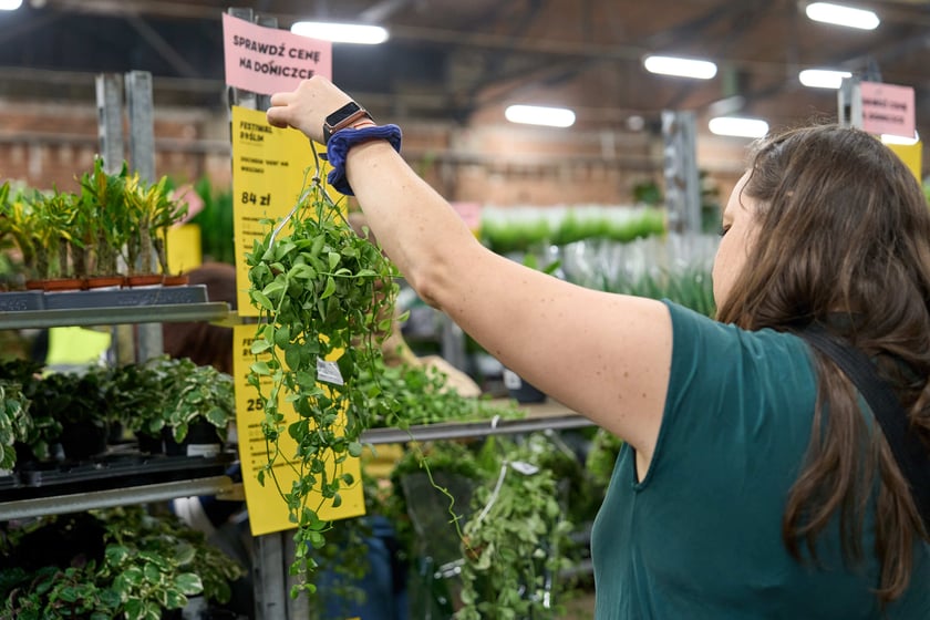 Festiwal Roślin w Czasoprzestrzeni
