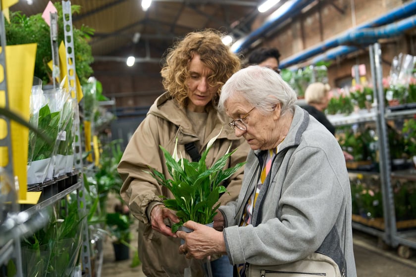 Festiwal Roślin w Czasoprzestrzeni