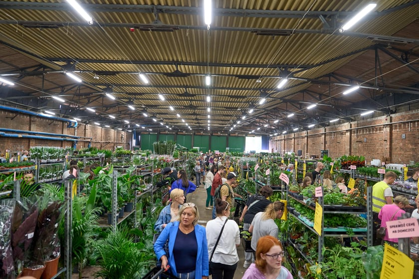 Festiwal Roślin w Czasoprzestrzeni