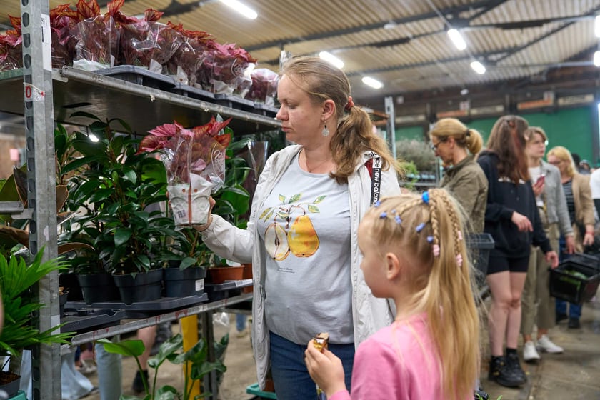 Festiwal Roślin w Czasoprzestrzeni