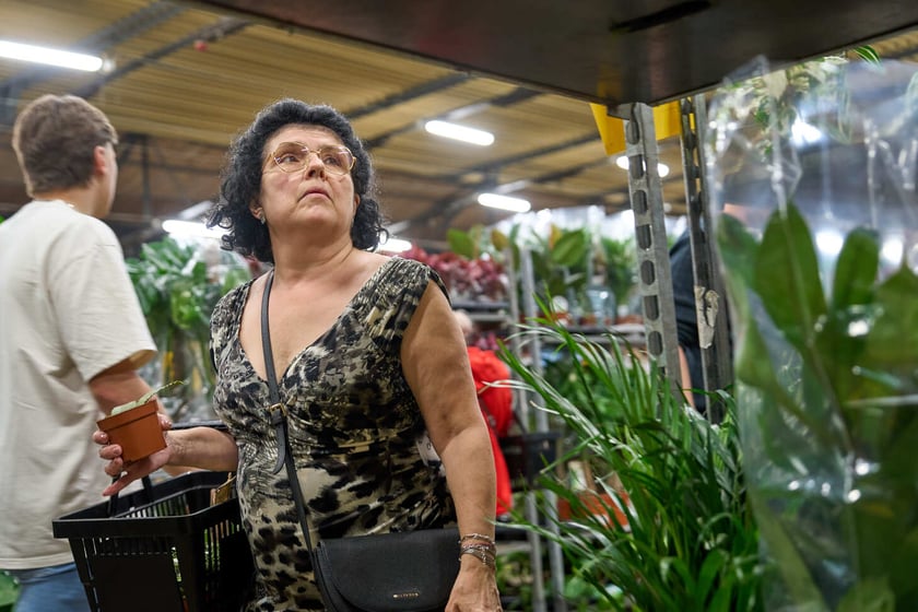 Festiwal Roślin w Czasoprzestrzeni