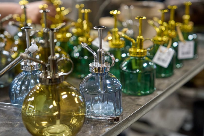 Festiwal Roślin w Czasoprzestrzeni