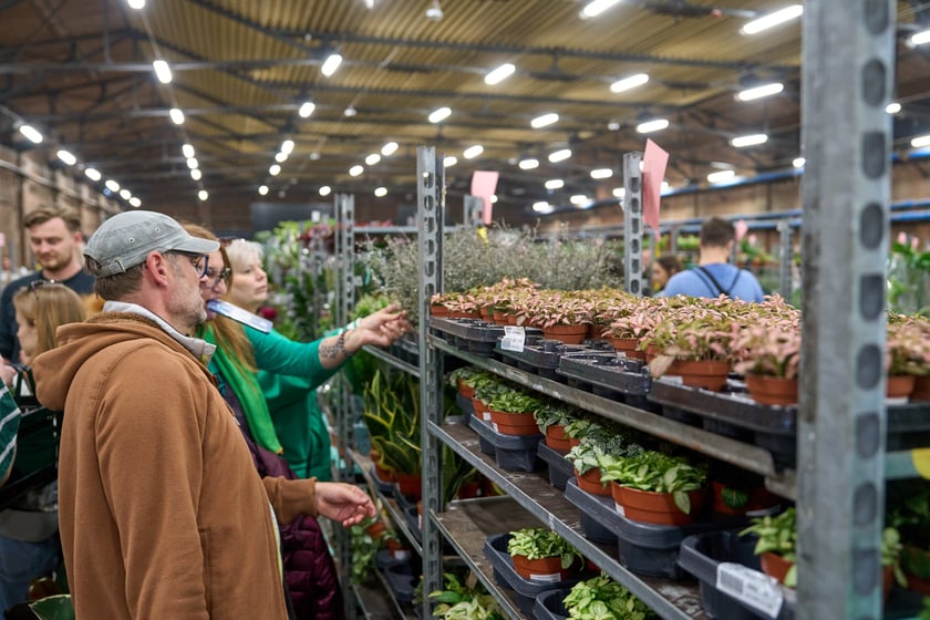 Festiwal Roślin w Czasoprzestrzeni