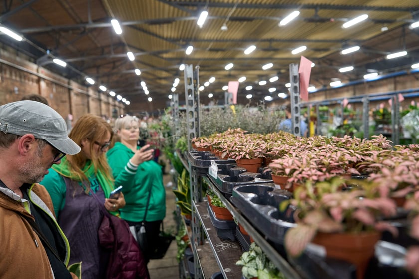 Festiwal Roślin w Czasoprzestrzeni