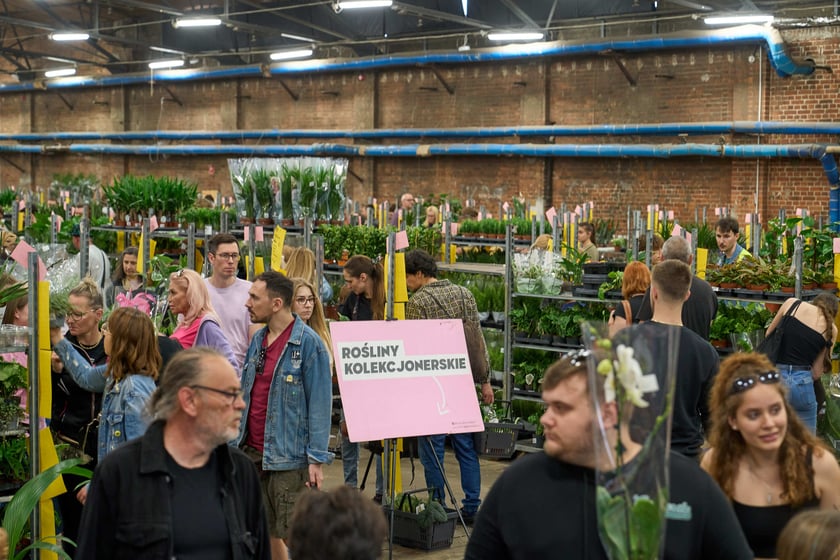 Festiwal Roślin w Czasoprzestrzeni