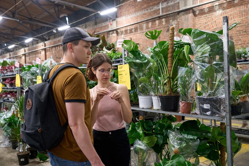 Festiwal Roślin w Czasoprzestrzeni