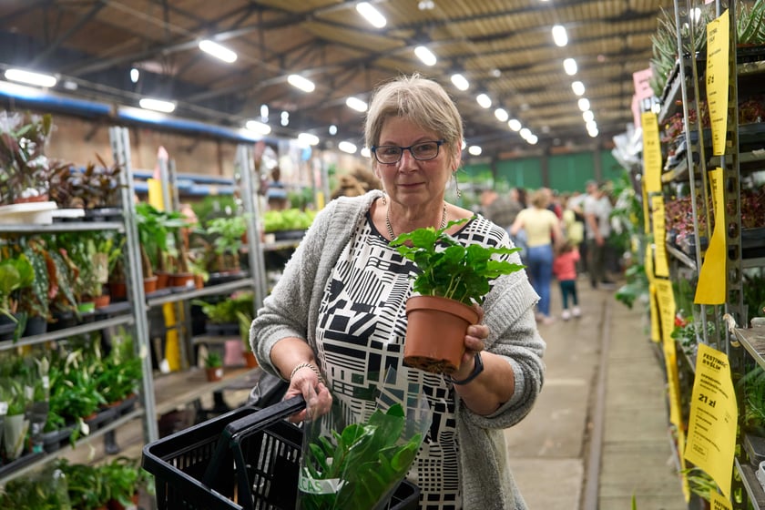 Festiwal Roślin w Czasoprzestrzeni