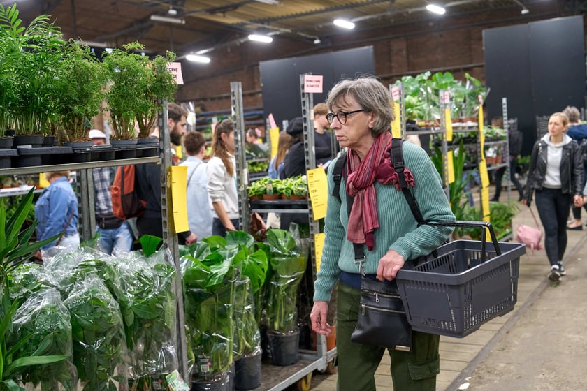 Festiwal Roślin w Czasoprzestrzeni