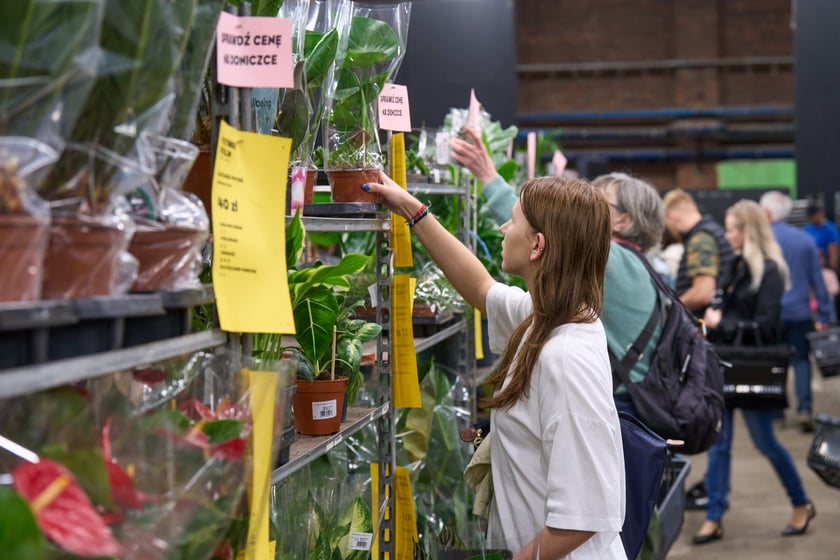 Festiwal Roślin w Czasoprzestrzeni