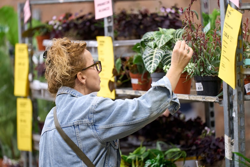 Festiwal Roślin w Czasoprzestrzeni
