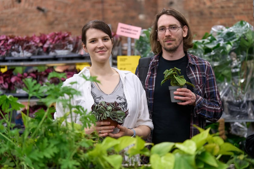 Festiwal Roślin w Czasoprzestrzeni
