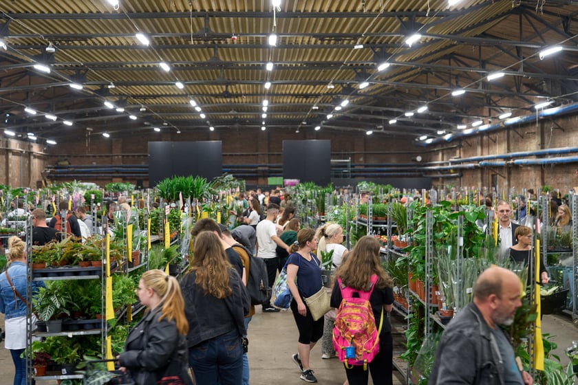 Festiwal Roślin w Czasoprzestrzeni