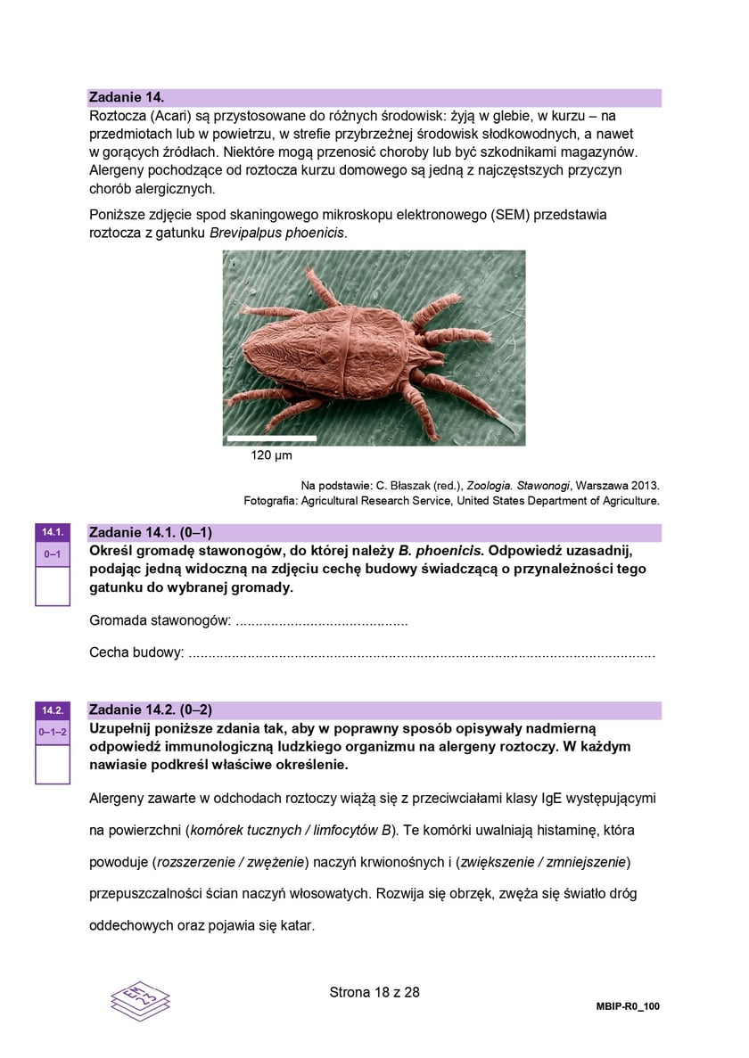 Arkusz CKE: Matura rozszerzona z biologii 2024 - zadania, 14 maja