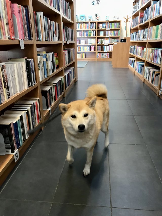 Biblioteka przy ul. Nenckiego