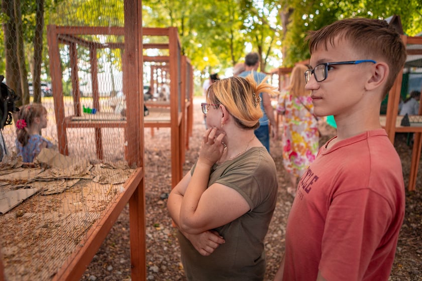 Targ rolny i piknik rodzinny na ul. Zwycięskiej, 29 czerwca 2025 r.