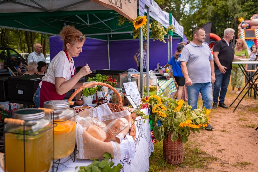 Targ rolny i piknik rodzinny na ul. Zwycięskiej, 29 czerwca 2025 r.