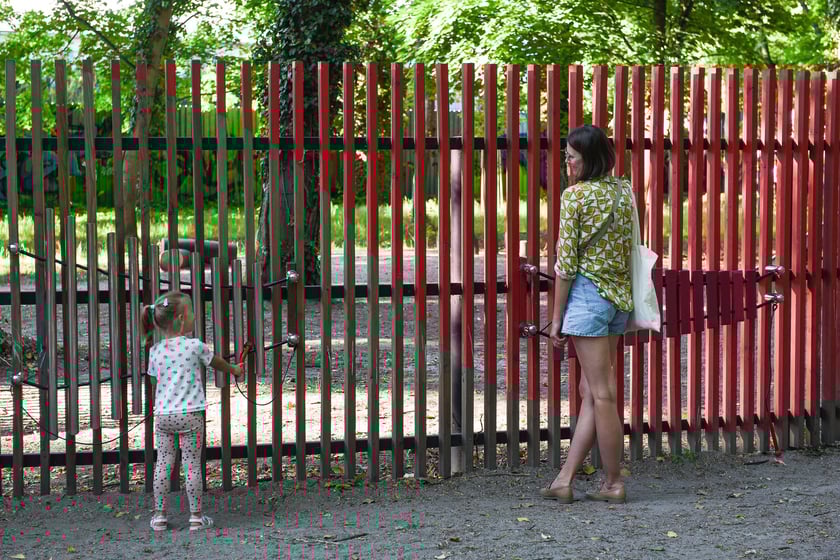 Leśne Druhy TarnoDuchy w parku Tarnogajskim