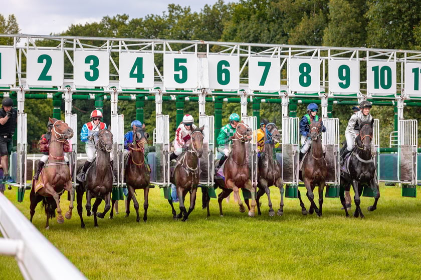 Suempol Ladies Day  na Partynicach. Wrocław, 09.06.2024