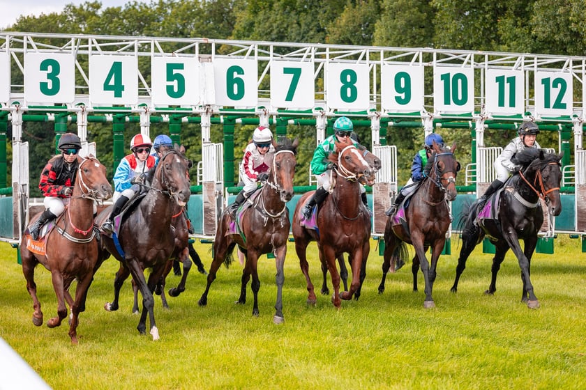 Suempol Ladies Day  na Partynicach. Wrocław, 09.06.2024