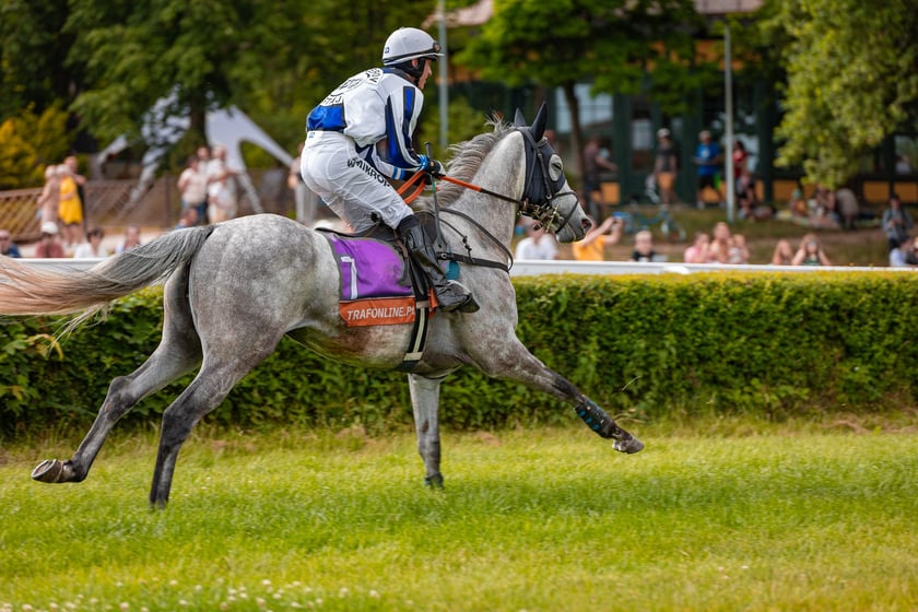 Suempol Ladies Day  na Partynicach. Wrocław, 09.06.2024