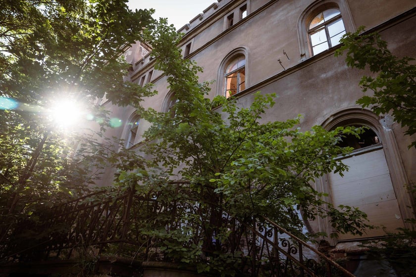 Dawny pałac w Świniarach, zdjęcie z 8 czerwca 2024 roku