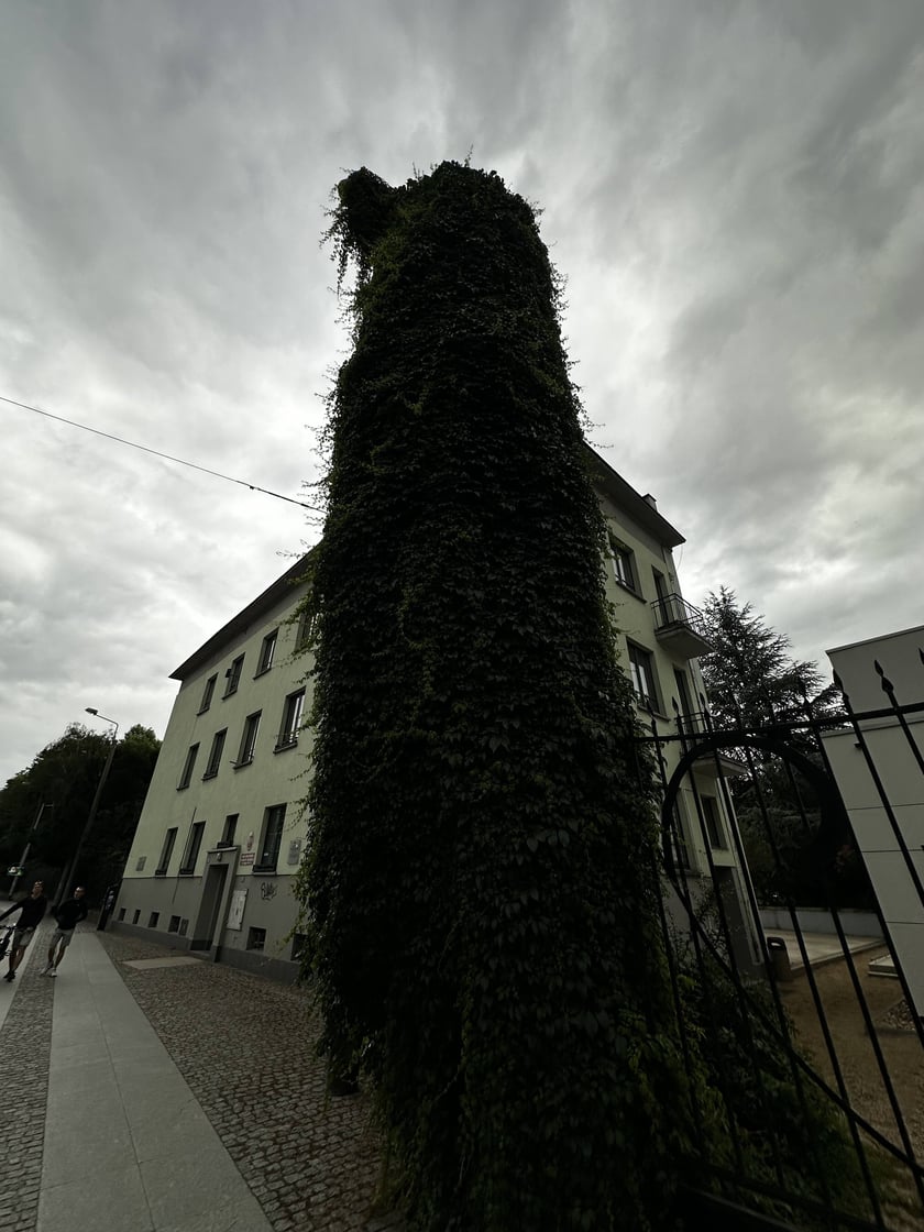 Upiorna latarnia we Wrocławiu - zdjęcia za dnia