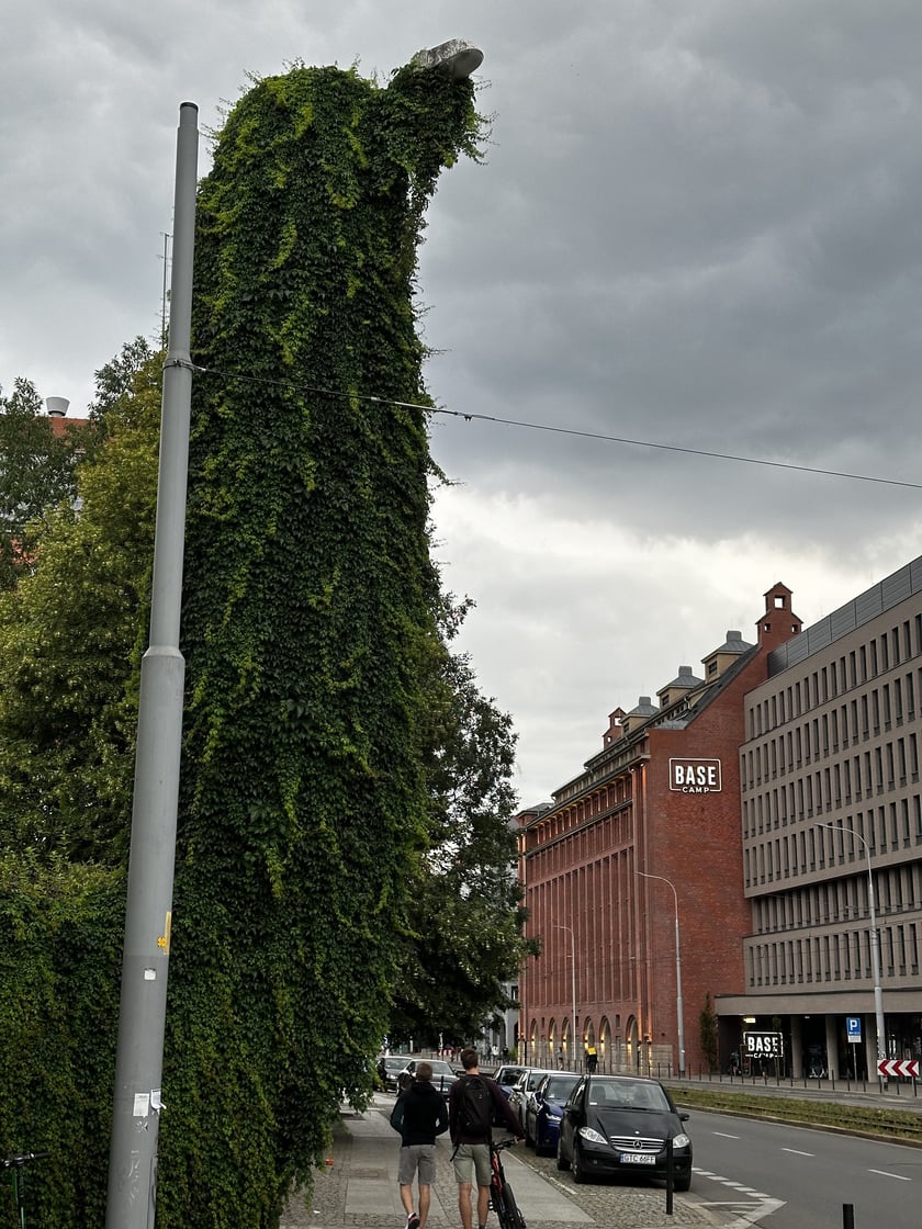 Upiorna latarnia we Wrocławiu - zdjęcia za dnia