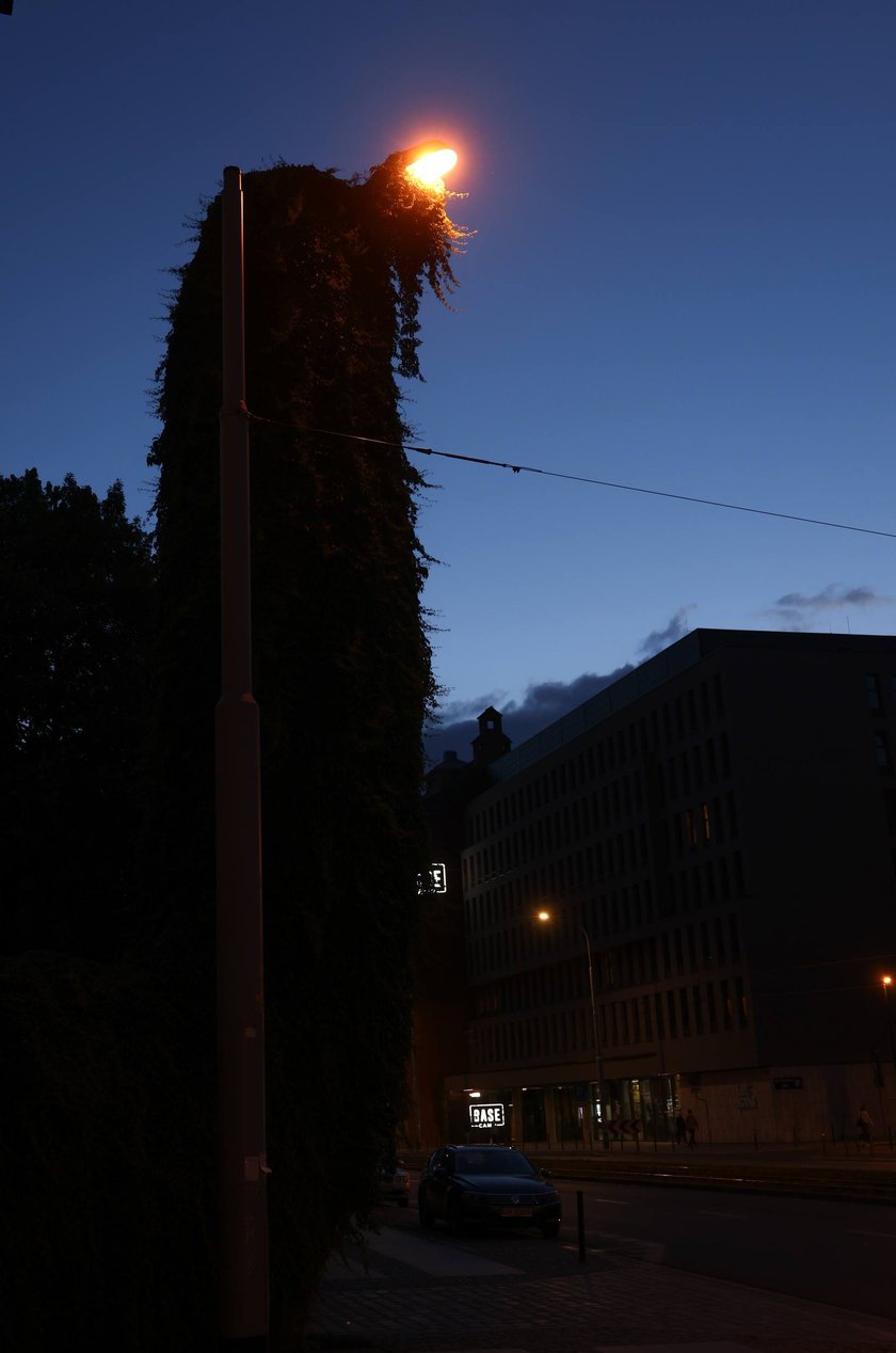 Upiorna latarnia we Wrocławiu - zdjęcia po zmroku