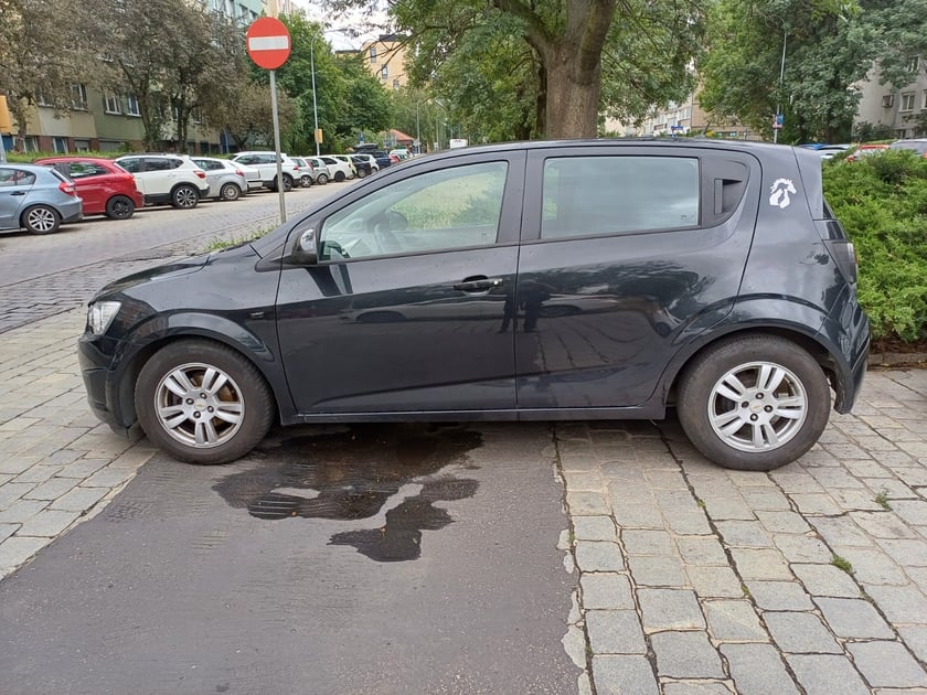 Przykłady nieprawidłowego parkowania samochod&oacute;w