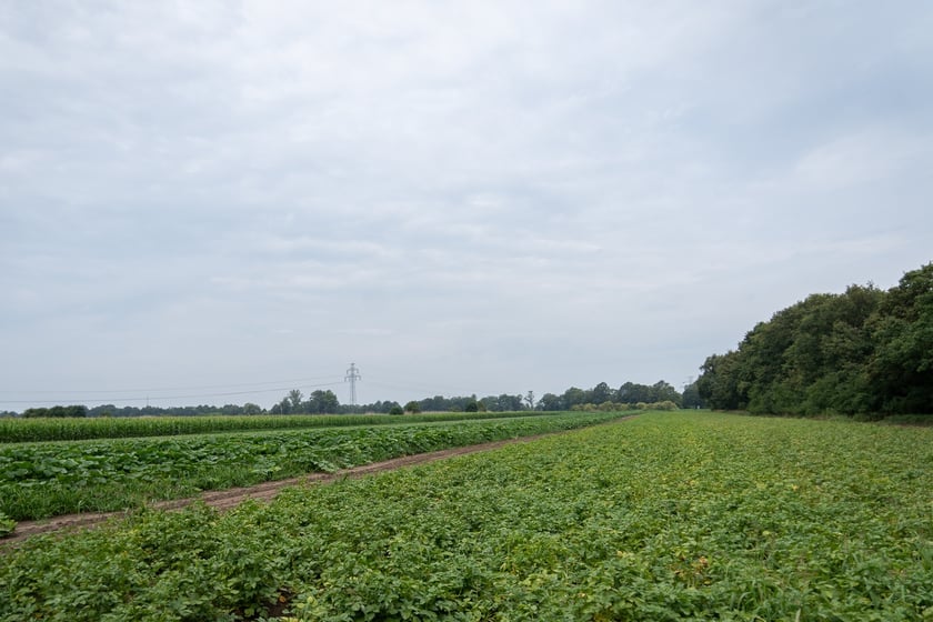 Miejska Farma Wrocławia