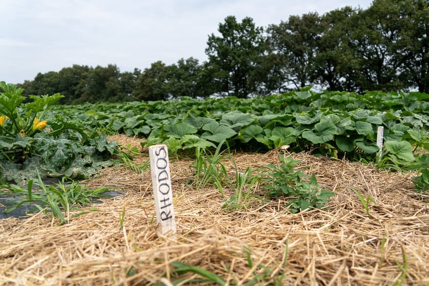 Miejska Farma Wrocławia