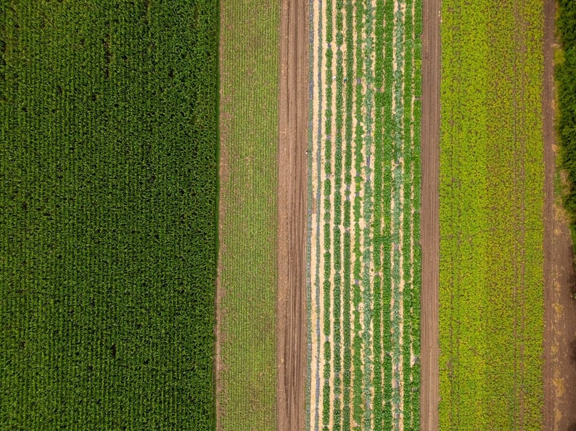 Miejska Farma Wrocławia